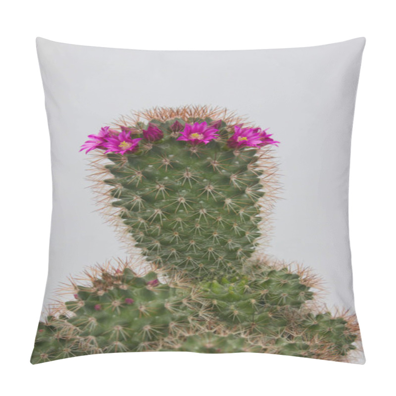 Personality  A Cactus With Vibrant Pink Flowers Blooming On Top, Set Against A Simple, Plain Background. The Spiky Green Cactus And Colorful Blossoms Create A Striking Natural Contrast. Pillow Covers