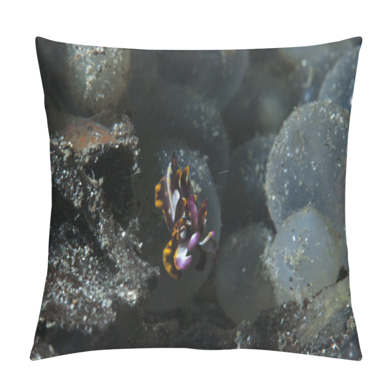 Personality  Flamboyant Cuttlefish Metasepia Pfefferi Pillow Covers