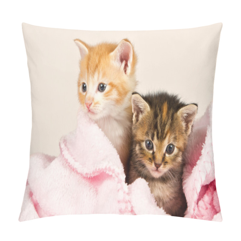 Personality  Two Kittens In A Pink Blanket Pillow Covers