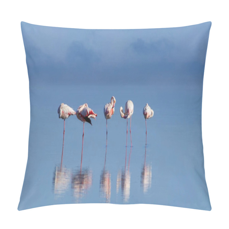 Personality  Wild African Birds. Group Birds Of Pink African Flamingos  Walking Around The Blue  Lagoon And Looking For Food Pillow Covers