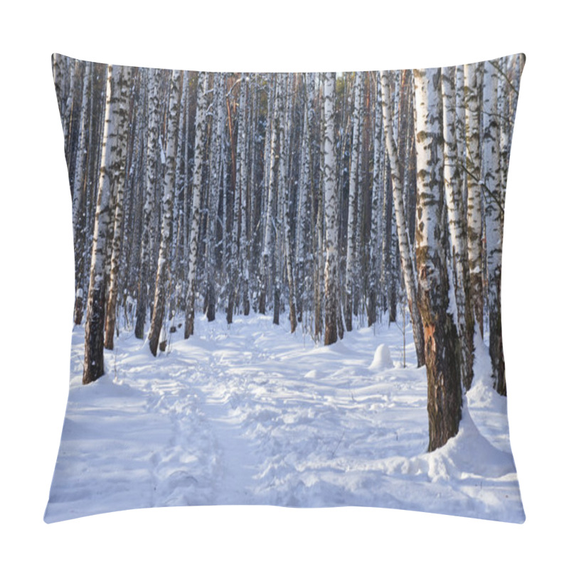 Personality  Winter Birch Grove Pillow Covers