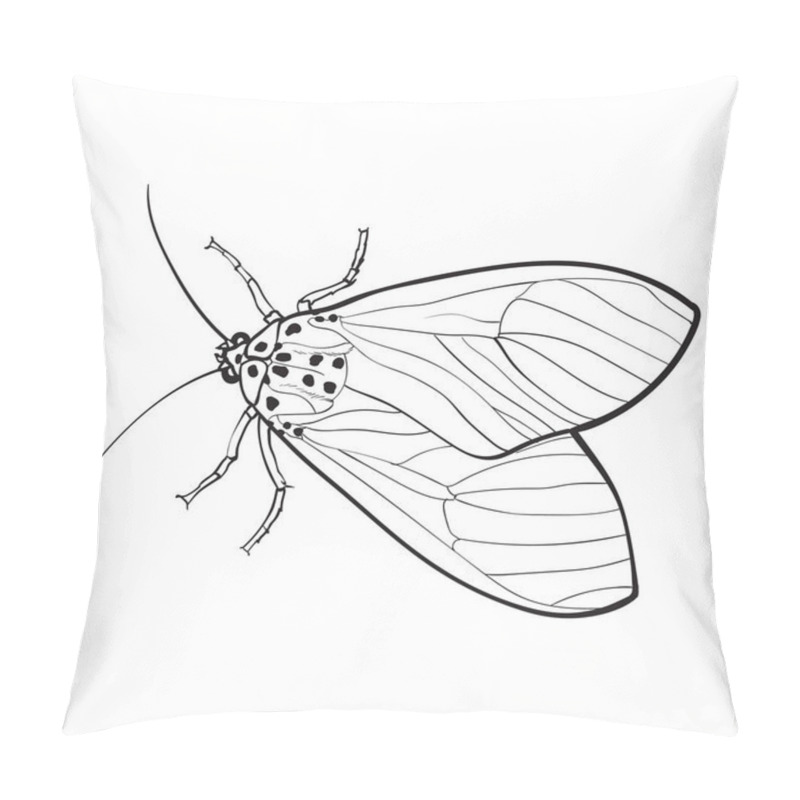 Personality  Top View Of Gray Moth, Isolated Sketch Style Illustration Pillow Covers