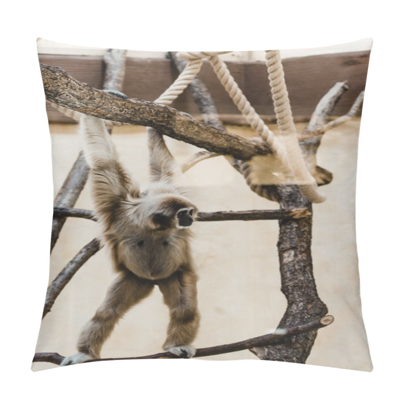 Personality  Selective Focus Of Marmoset Monkey Climbing In Zoo Pillow Covers