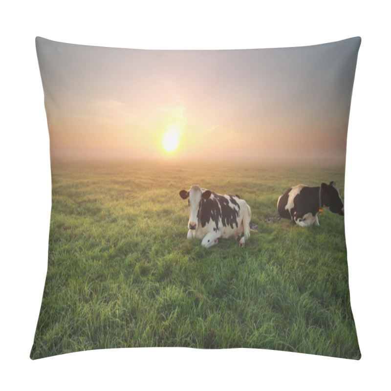 Personality  Relaxed Cows On Pasture At Sunrise Pillow Covers