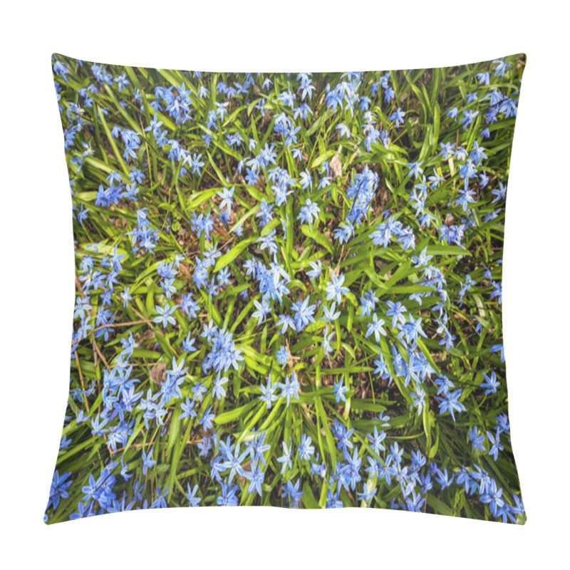 Personality  Spring Blue Flowers Glory-of-the-snow Pillow Covers