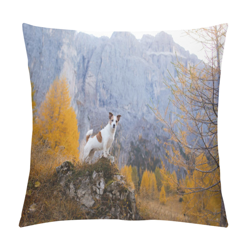 Personality  Dog In The Mountains. Jack Russell Terrier On Peak Of Rocks At Sunset. . Hiking With A Pet Pillow Covers