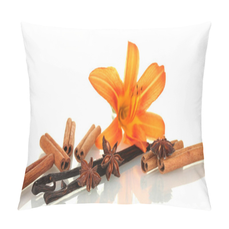 Personality  Vanilla Pods With Spices Isolated On White Pillow Covers