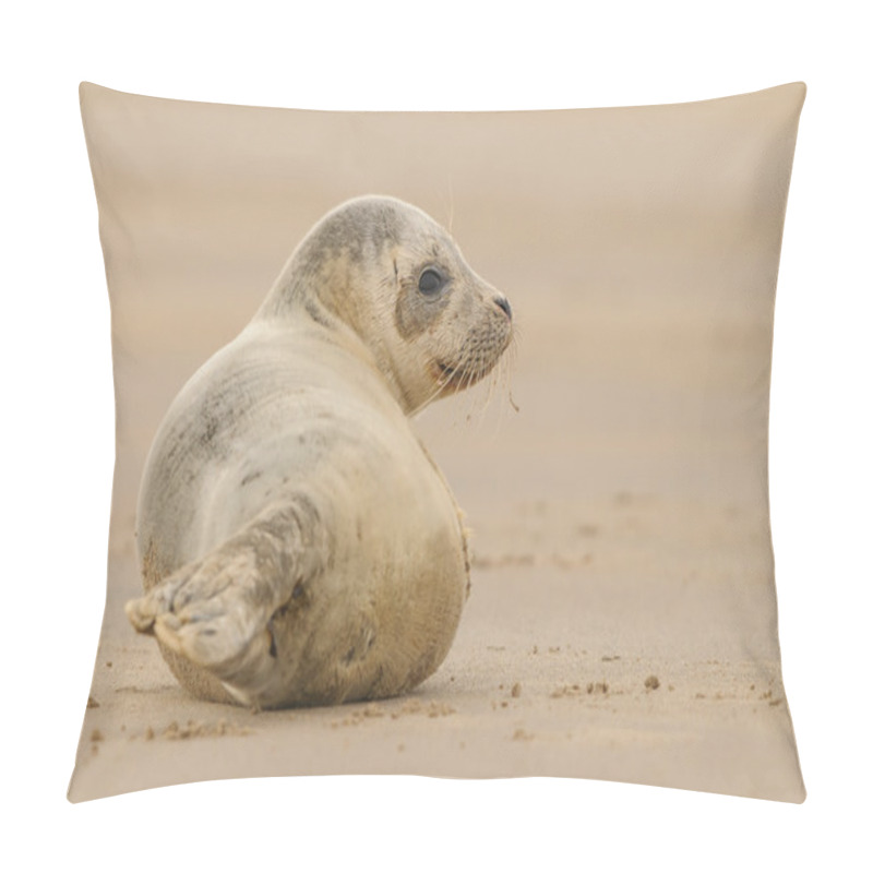 Personality  Seal Pup Pillow Covers