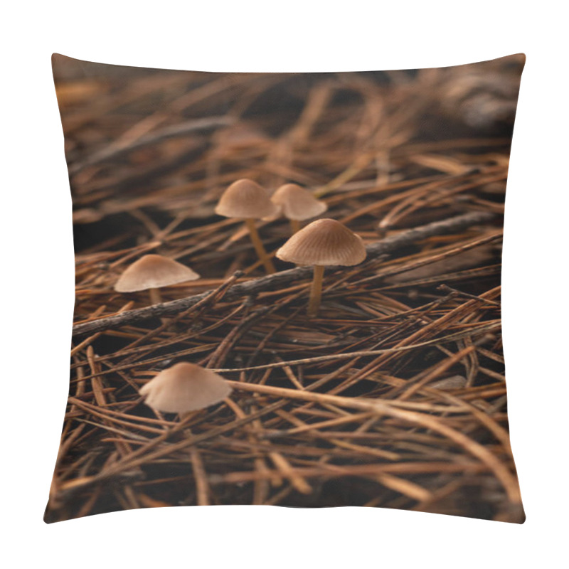 Personality  Small Marasmius Mushrooms Growing Amidst Fallen Pine Needles In A Forest. A Delicate Scene Of Natures Quiet Beauty, Showcasing The Intricate Textures Of The Fungi And Woodland Surroundings. Pillow Covers