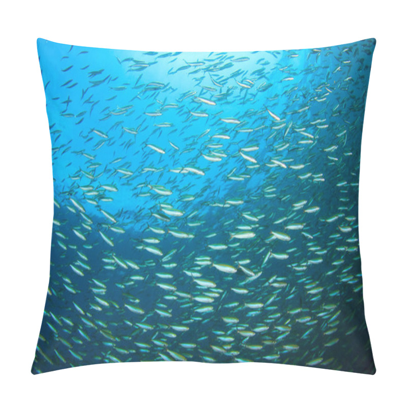 Personality  Marine Inhabitants With Underwater Scene In Deep Blue Ocean Pillow Covers