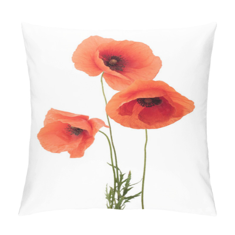 Personality  Red Poppy Flowers In A Row On White. Pillow Covers