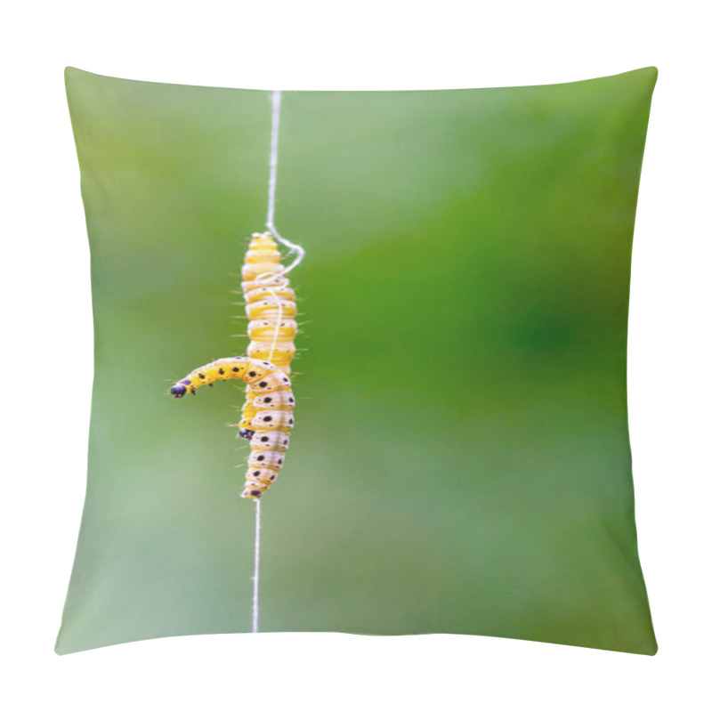 Personality  Two Web Moths Hang By A Thread, Against A Green Background Pillow Covers