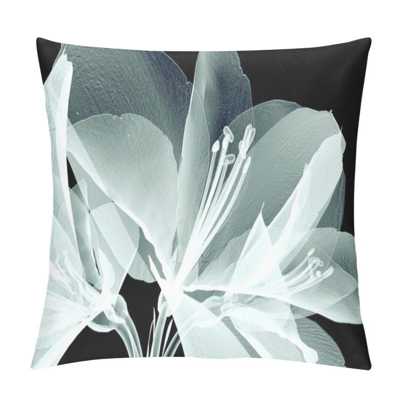 Personality  X-ray Image Of A Flower Isolated On Black , The Amaryllis Pillow Covers