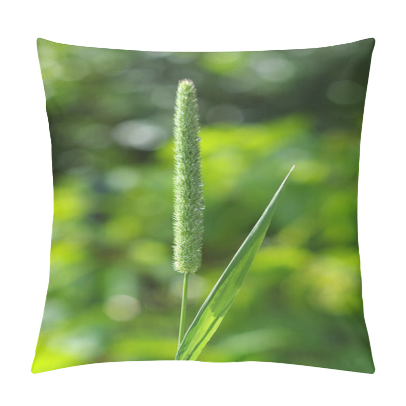 Personality  Green Foxtail Grass Pillow Covers