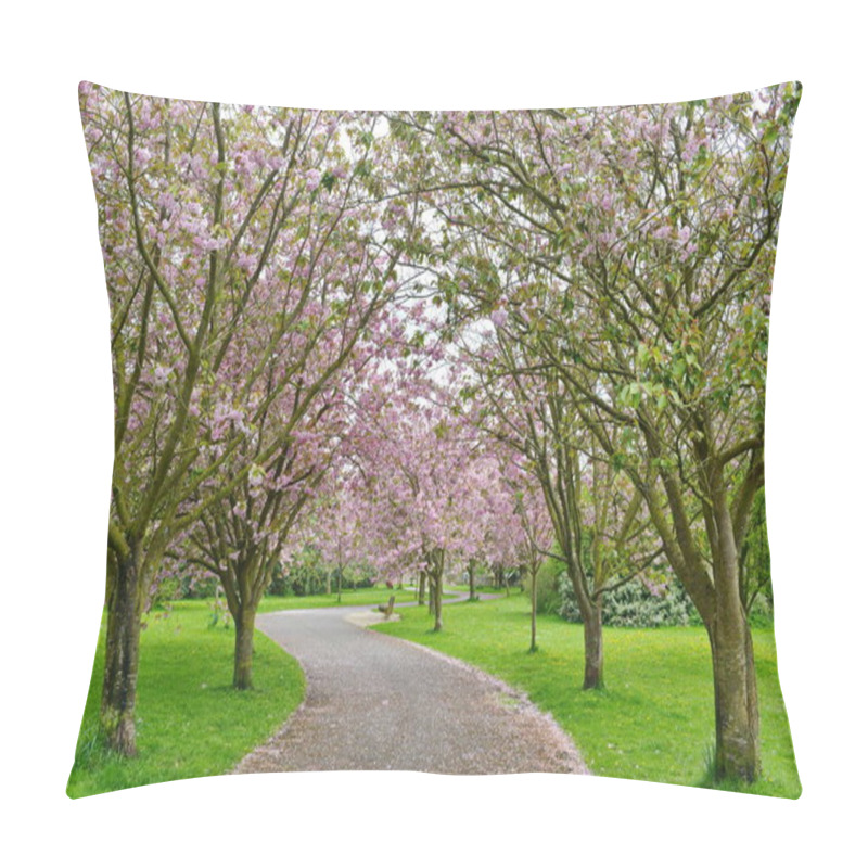 Personality  Tender Sakura Trees Blooming In Spring Pillow Covers