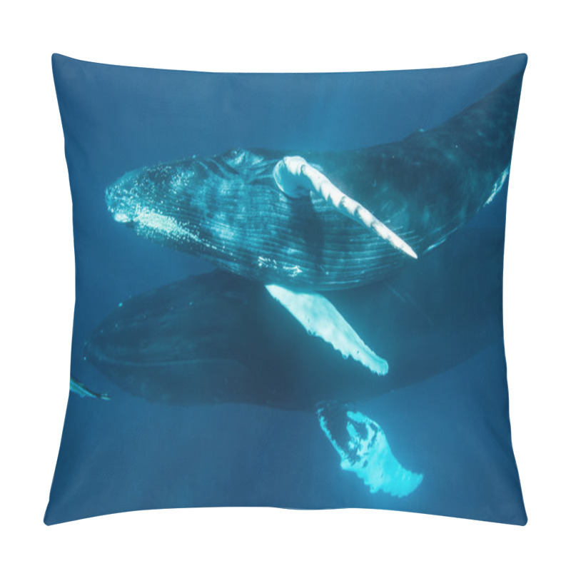 Personality  Humpback Whales Underwater Pillow Covers