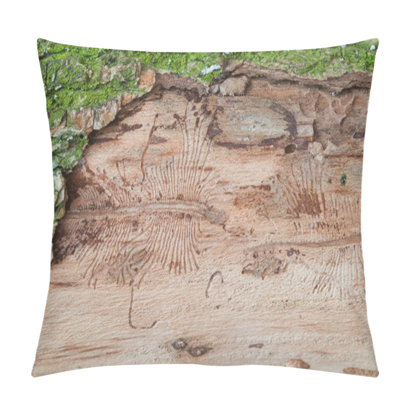 Personality  The Imprint Of The Bark Beetle Under The Bark Of The Tree Pillow Covers