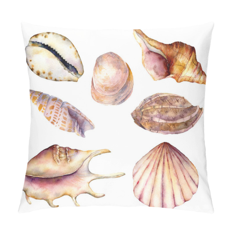 Personality  Watercolor Sea Shells Set. Hand Painted Underwater Element Illustration Isolated On White Background. Aquatic Illustration For Design, Print Or Background. Pillow Covers