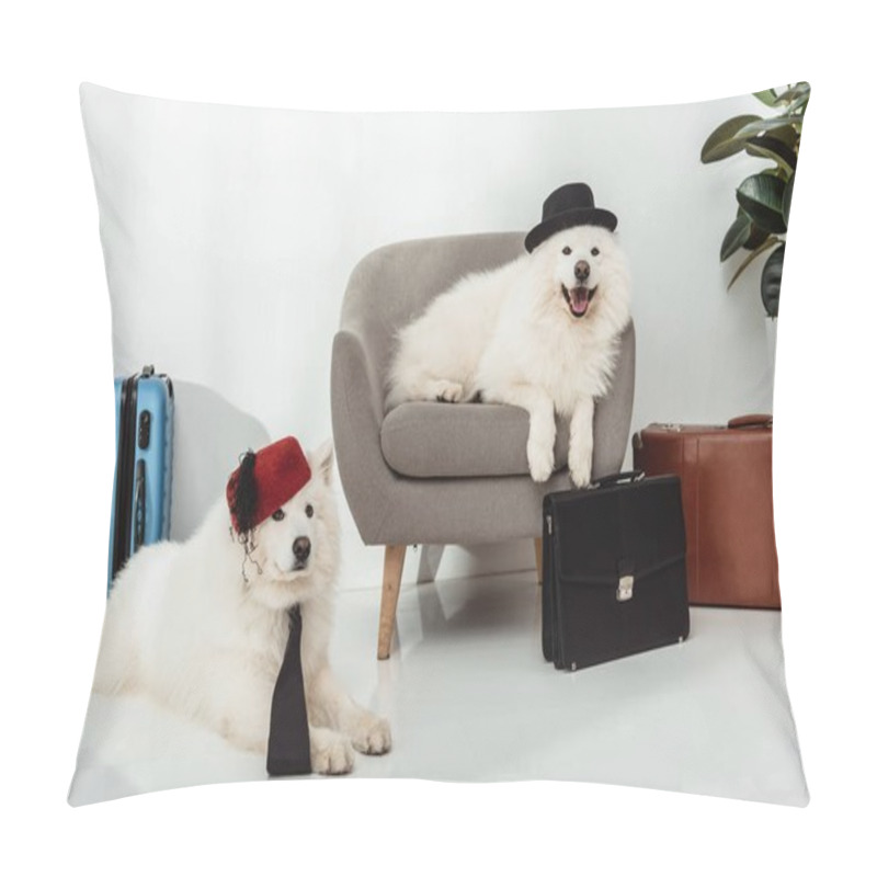 Personality  Samoyed Dogs With Suitcases  Pillow Covers