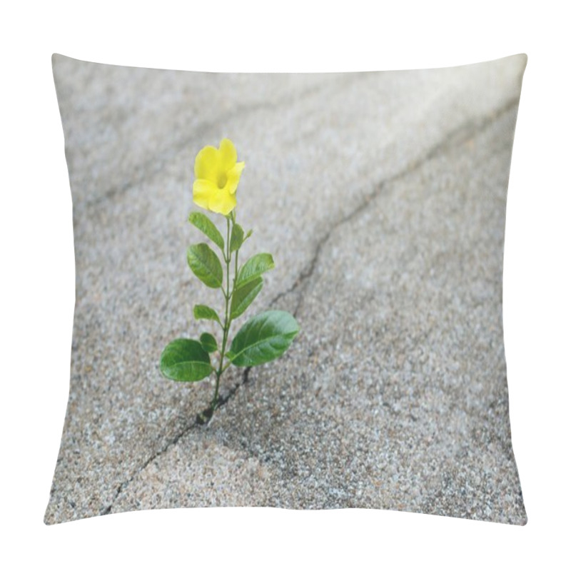 Personality  Yellow Flower Growing On Crack Street, Hope Concept Pillow Covers