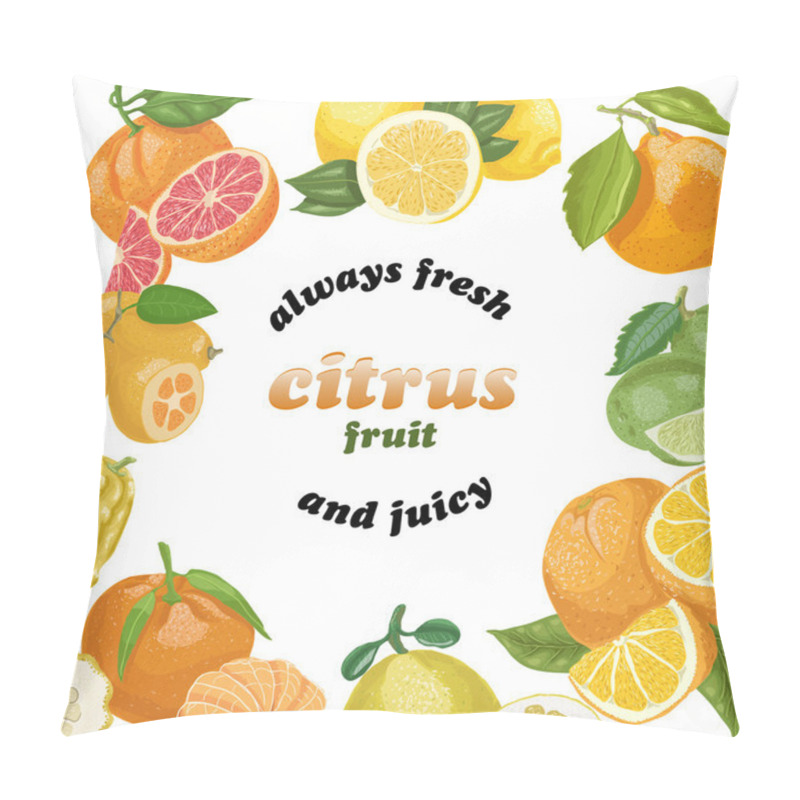 Personality  Vector Background With Citrus Fruits  Pillow Covers