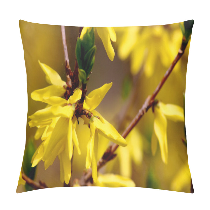 Personality  Yellow Spring Flowers. Forsythia. Pillow Covers