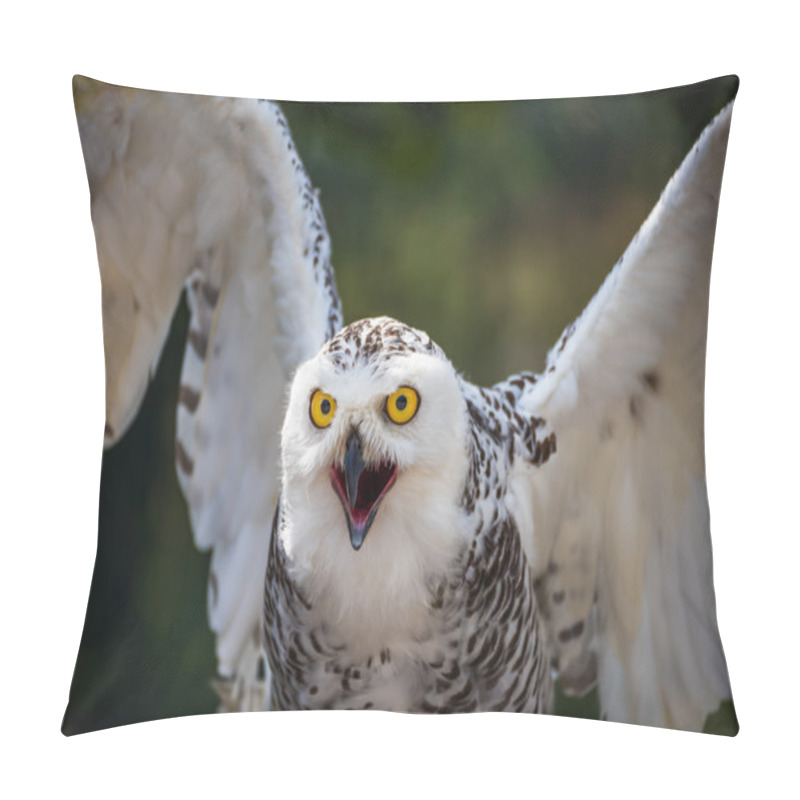 Personality  Detail Of Snowy Owl With Beak Open On Dark Background Pillow Covers