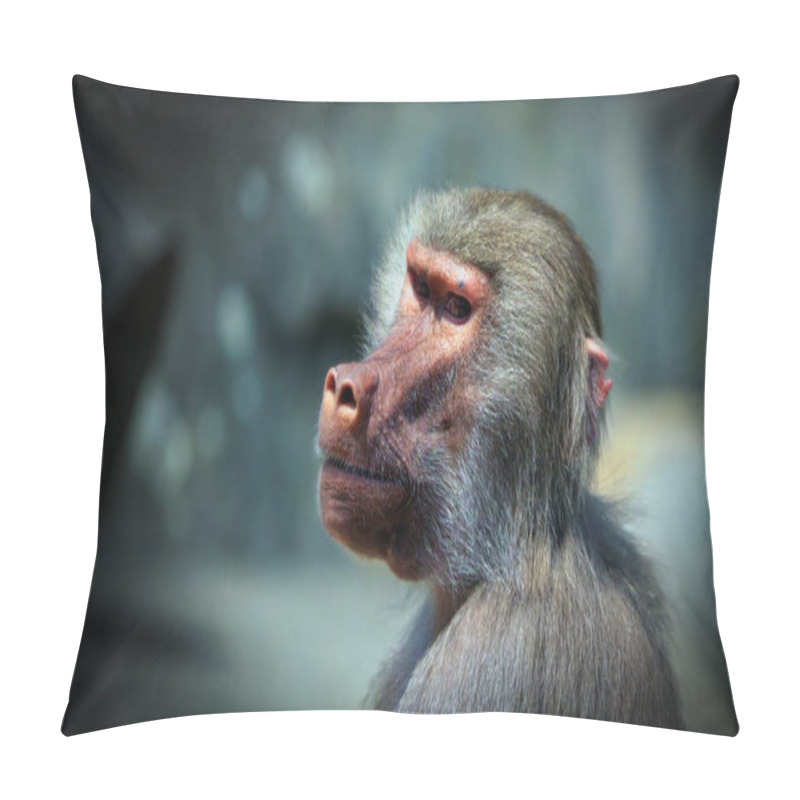 Personality  Mammal Animal Chimpanzee Monkey On Rocks In Zoo  Pillow Covers