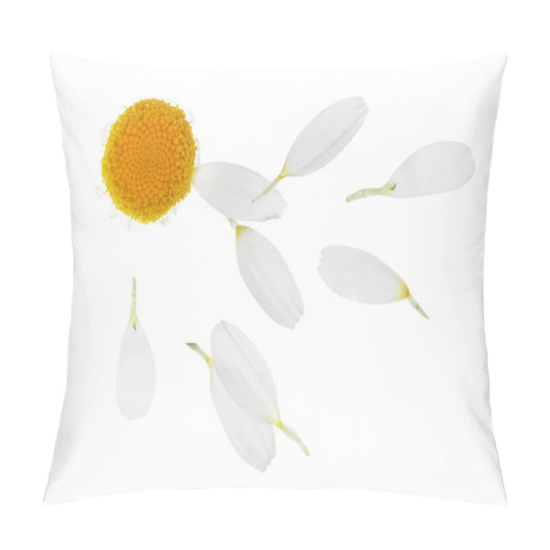 Personality  Chamomile Flower With Flying Petals On White Background Pillow Covers