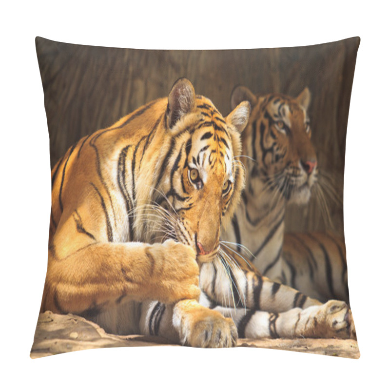 Personality  Tiger Pillow Covers