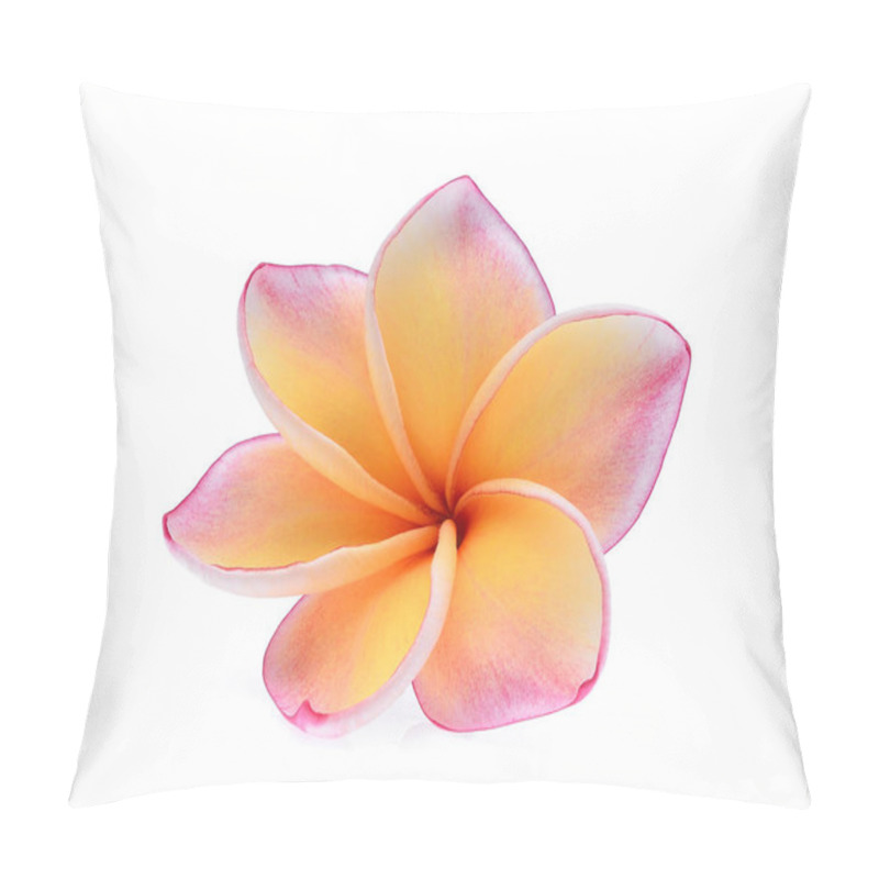 Personality  Single Frangipani Tropical Flower, Plumeria, Lanthom, Leelawadee Pillow Covers