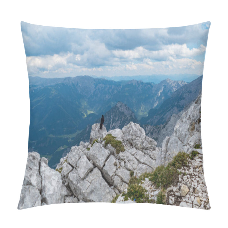 Personality  Summer In Totes Gebirge Mountains In Alps In Austria Pillow Covers