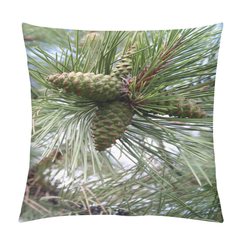 Personality  Fir Cone Pillow Covers