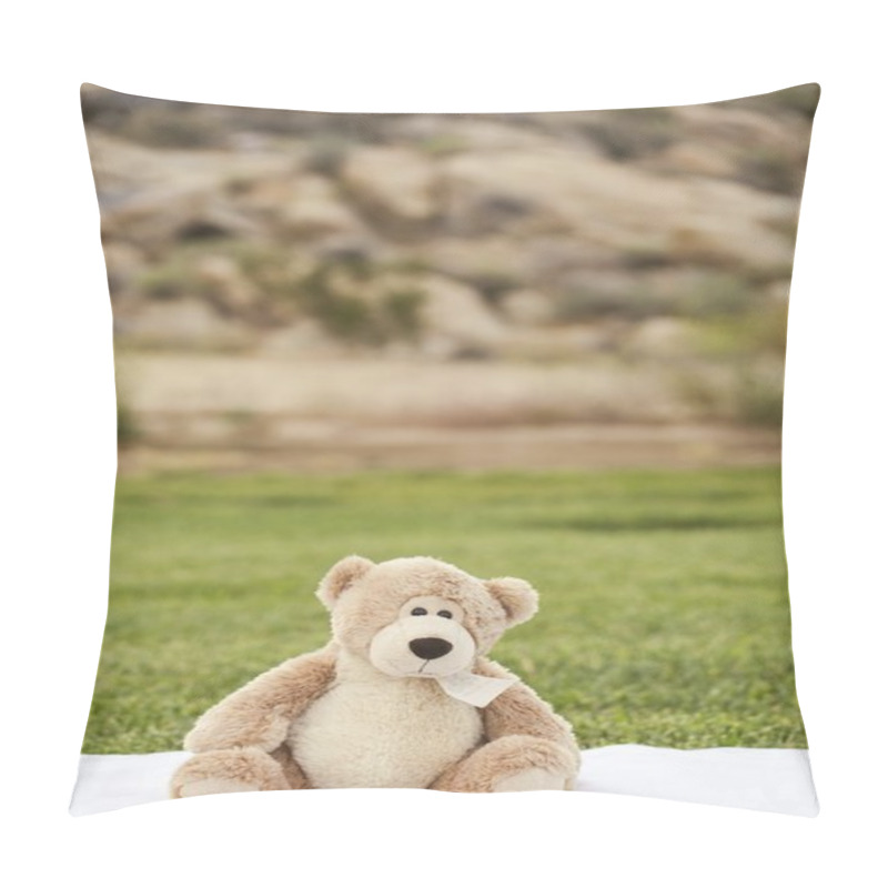 Personality  The Lovable Teddy Pillow Covers