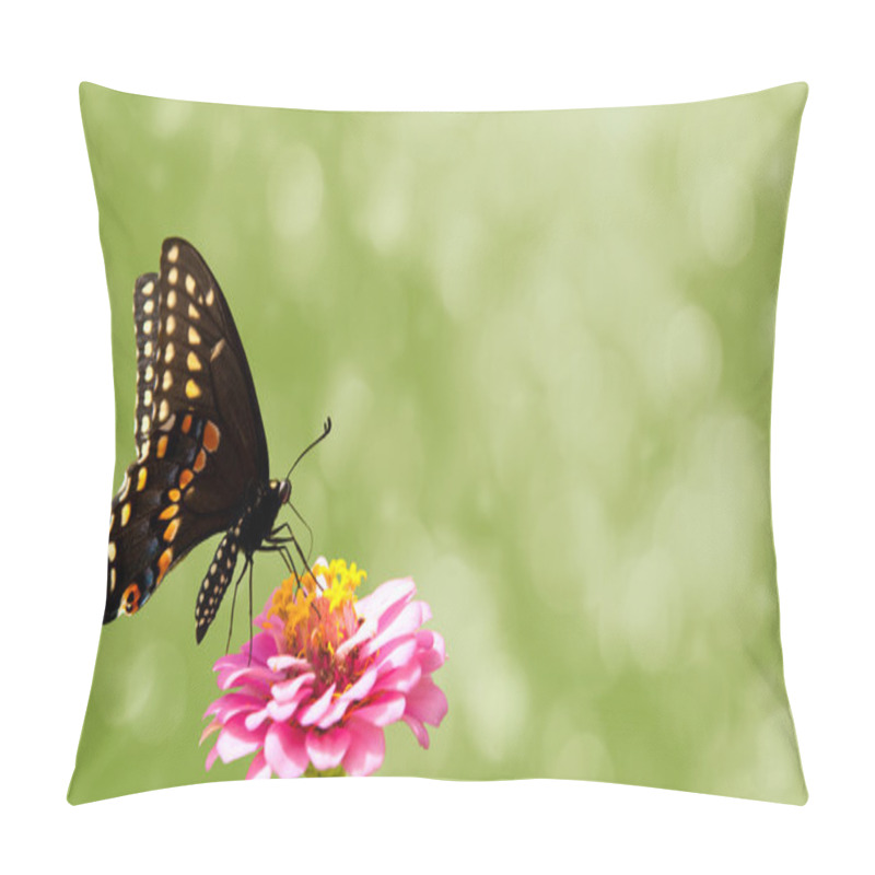 Personality  Dreamy Image Of A Black Swallowtail Butterfly On Pink Zinnia, A Nature Themed Business Card Design Pillow Covers