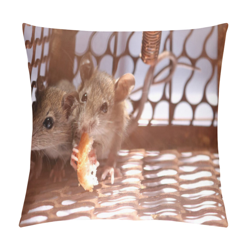 Personality  A Little Mouse With Bread In The Rat Trap Pillow Covers