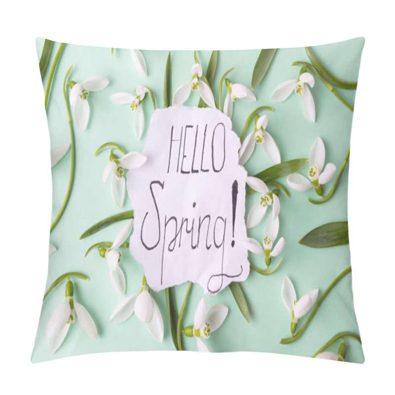 Personality  Hello Spring Calligraphy Note With Snowdrops Pillow Covers