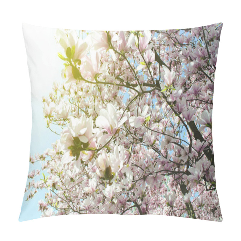 Personality  Beautiful Magnolia Flowers Blossoming In A Spring Time - Low Angle View From Below Pillow Covers