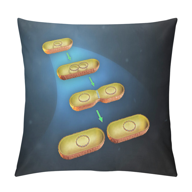 Personality  Bacterial Cell Division Pillow Covers