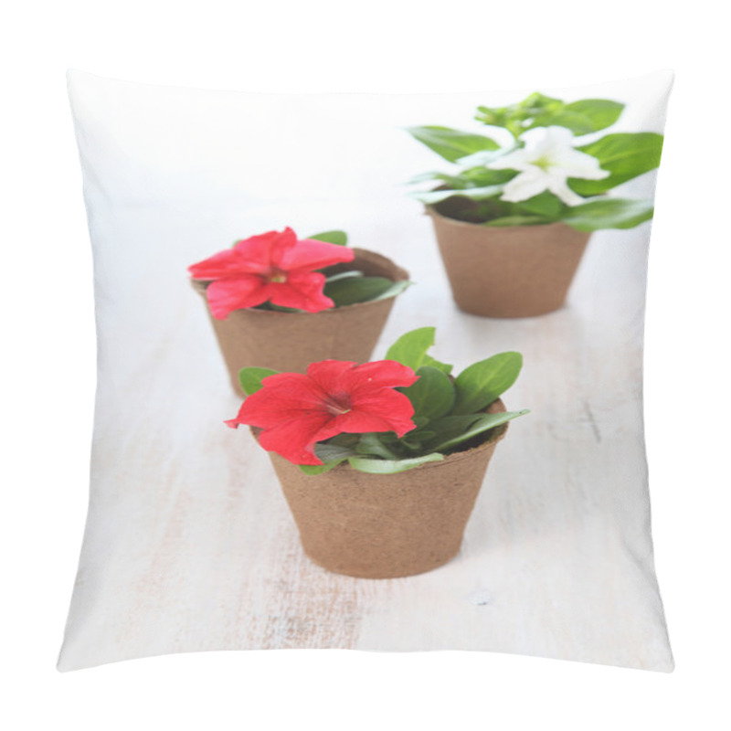 Personality  Seedlings Of Flowers On A Wooden Table Pillow Covers