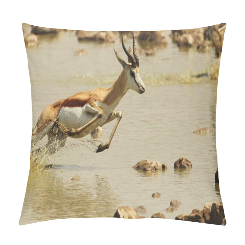 Personality  A Closeup Shot Of A Gazelle Galloping Away Over A Shallow River Pillow Covers