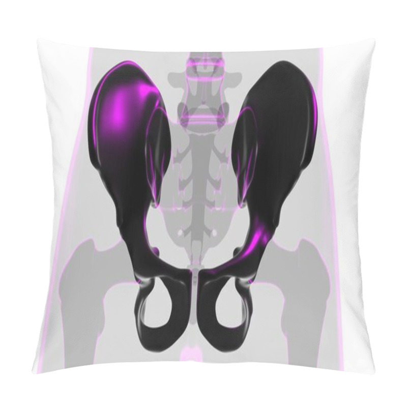 Personality  Human Skeleton Hip Or Pelvic Bone Anatomy For Medical Concept 3D Illustration Pillow Covers