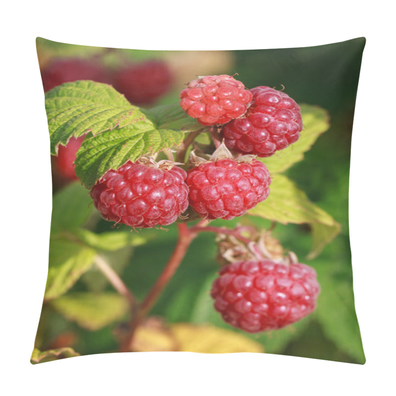 Personality  Growing Raspberries. Pillow Covers