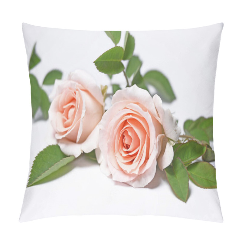 Personality  Offwhite Pink Rose Isolated On White Background  Pillow Covers