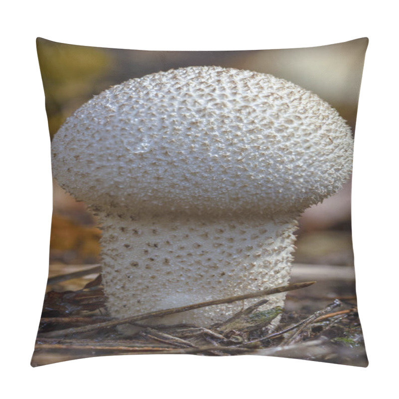 Personality  Common puffball mushroom - Lycoperdon perlatum - growing in green sphagnum moss close-up pillow covers