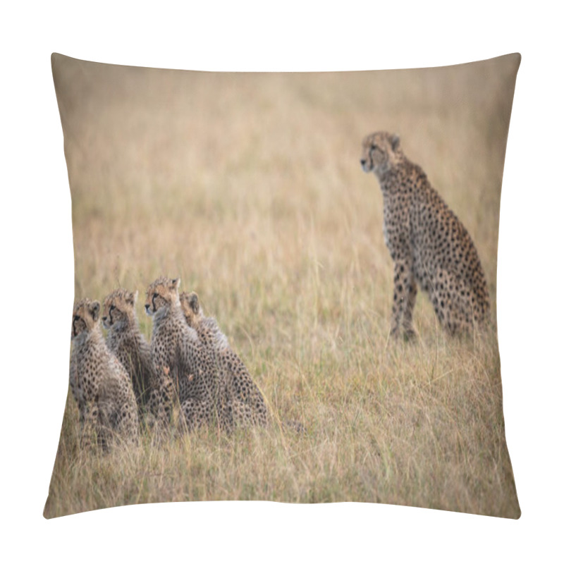 Personality  Cheetah Sitting Behind Four Cubs In Savannah Pillow Covers