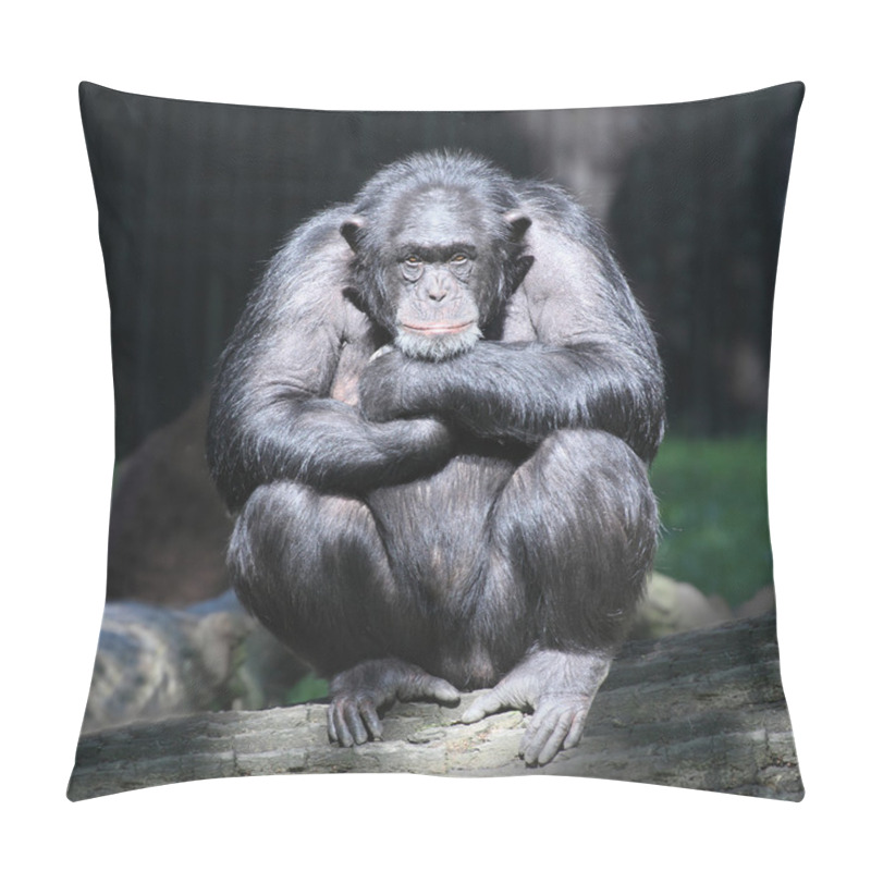 Personality  Worried Chimpanzee. Pillow Covers