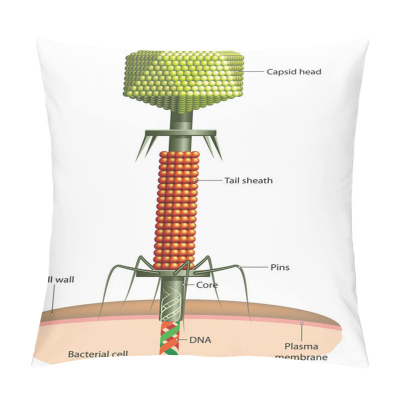 Personality  Bacteriophage Pillow Covers