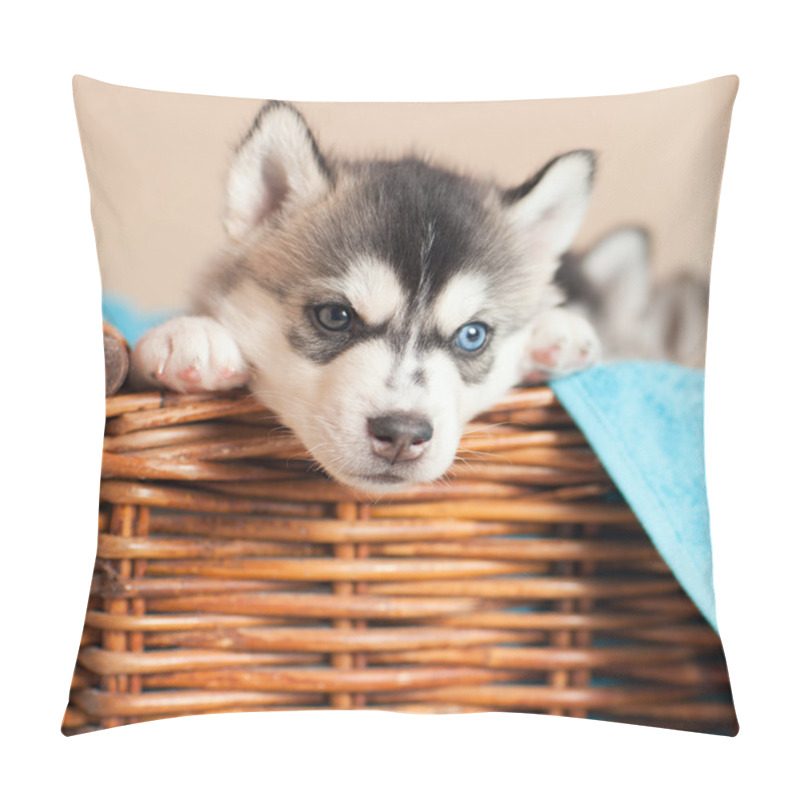 Personality  Husky Puppy In A Basket Pillow Covers