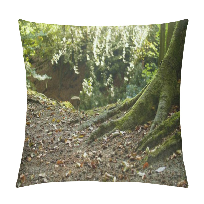 Personality  Large Tree Roots Covered In Moss Create A Magical Scene In An Autumn Forest Exploring Fairytale Landscapes And Promoting Eco-Friendly Tourism While Showcasing Nature S Beauty, Ecosystem Conservation Pillow Covers